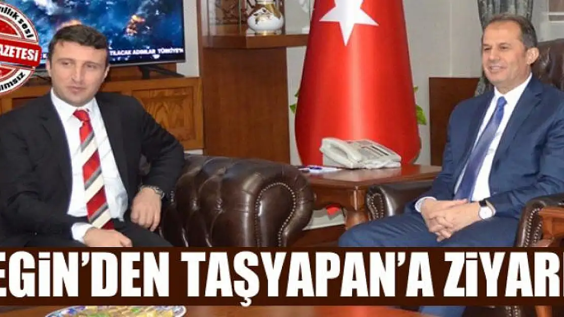 Bakan Yardımcısı Yegin'den Vali Taşyapan'a ziyaret