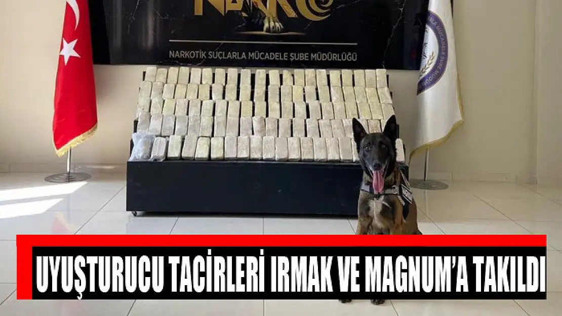 Uyuşturucu tacirleri Irmak ve Magnum'a takıldı