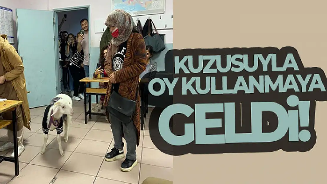 Üzerine kazak giydirdiği kuzusuyla oy kullanmaya geldi