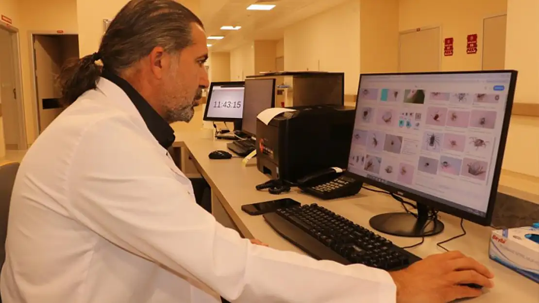 Uzman doktor uyarıyor: Kapalı giysileri tercih edin!