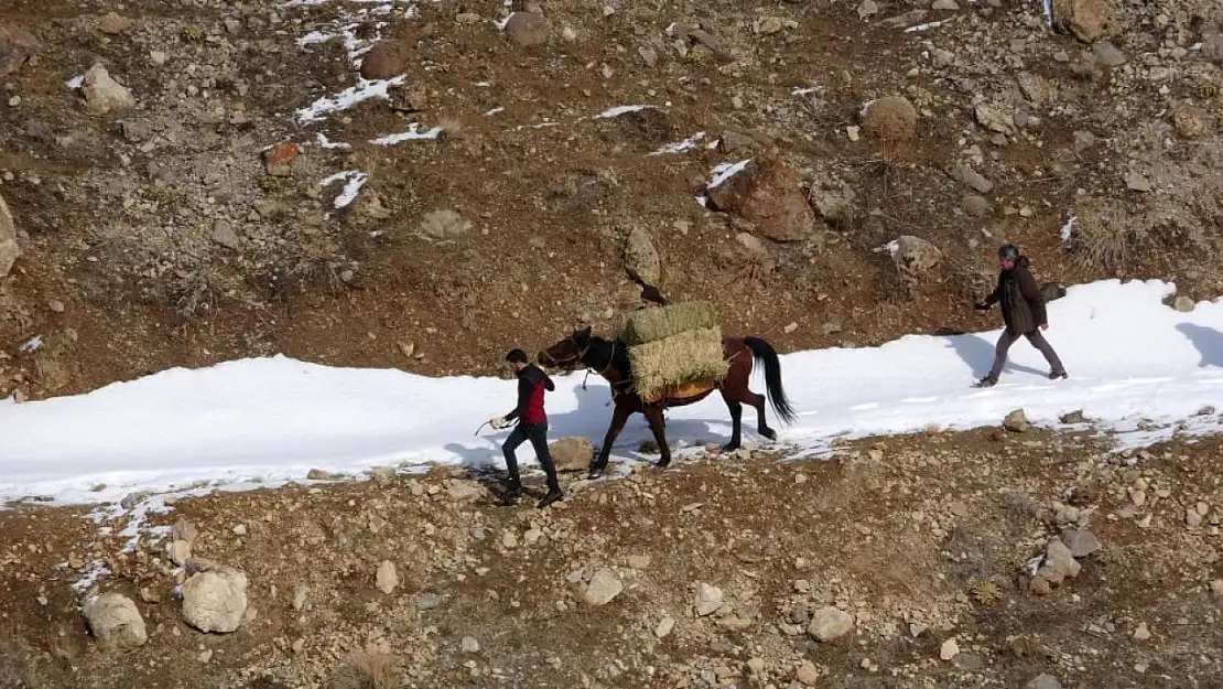 Uzmanlar uyardı: 'Yaban hayvanlarına bilinçsiz yem bırakmayın'