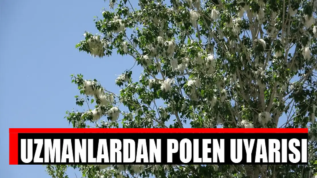 Uzmanlardan polen uyarısı