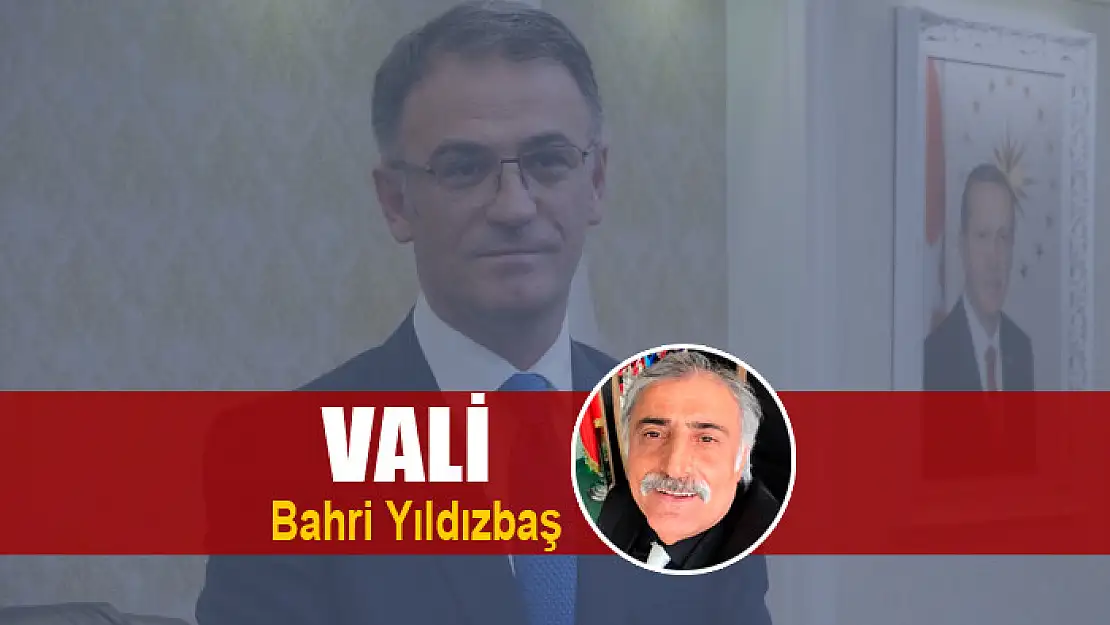 VALİ