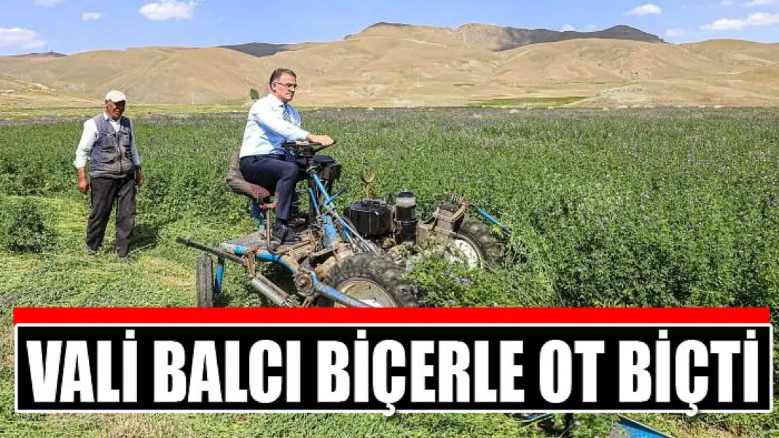 Vali Balcı biçerle ot biçti