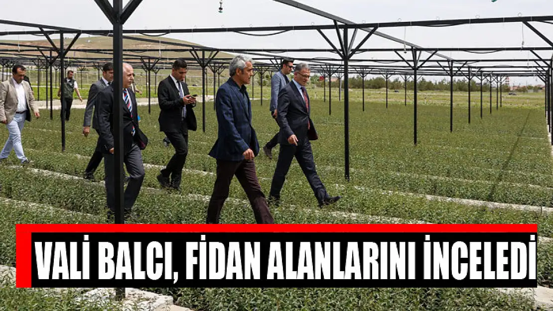 Vali Balcı, fidan alanlarını inceledi