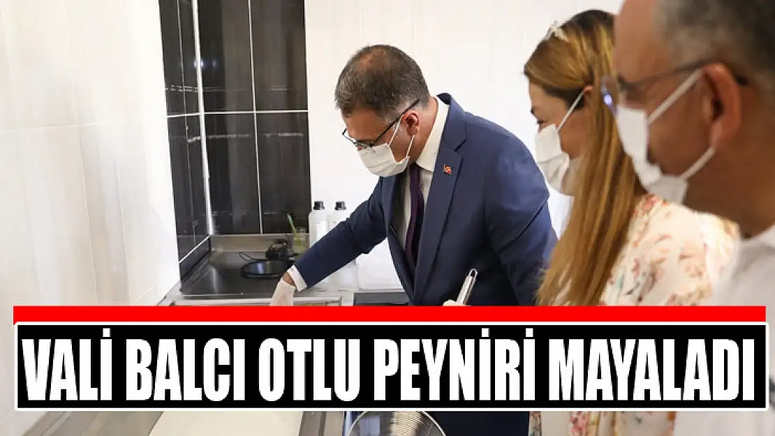 Vali Balcı otlu peyniri mayaladı