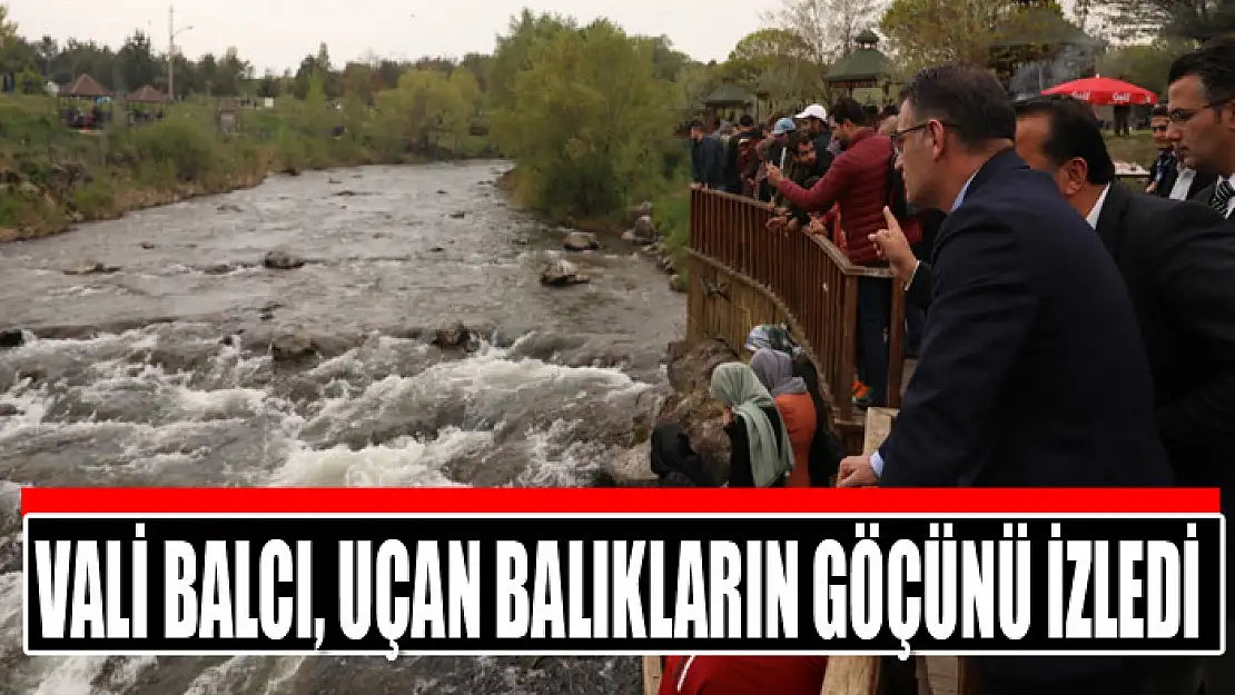 VALİ BALCI, UÇAN BALIKLARIN GÖÇÜNÜ İZLEDİ