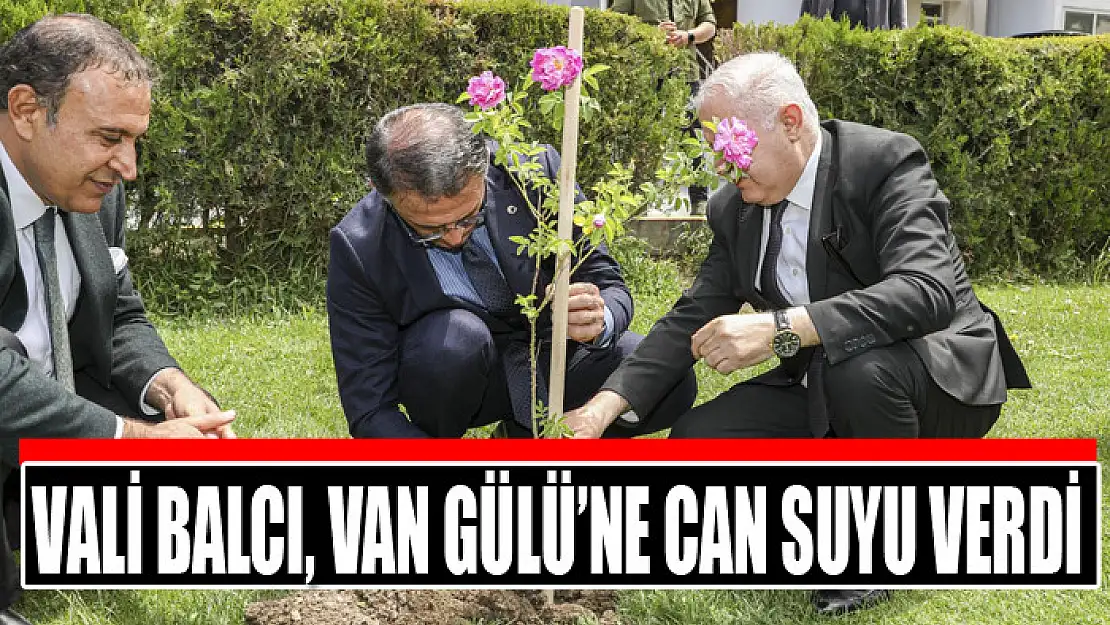 Vali Balcı, Van Gülü'ne can suyu verdi