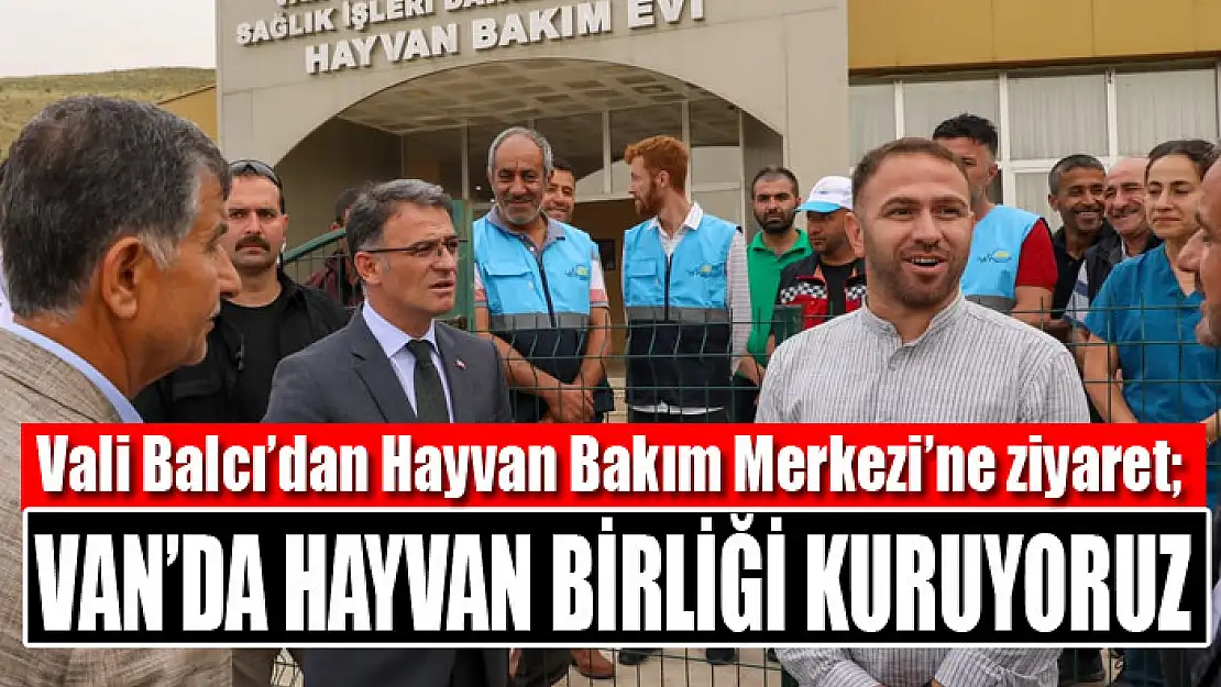 Vali Balcı: Van'da Hayvan Birliği kuruyoruz