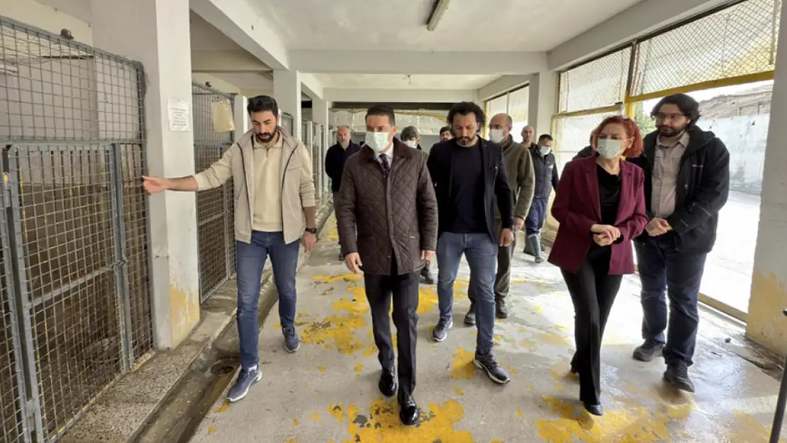 Vali Yardımcısı Göktaş çalışmaları yerinde inceledi