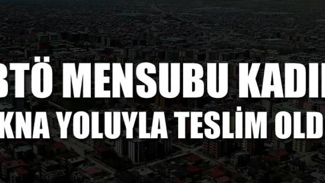 BTÖ mensubu kadın ikna yoluyla teslim oldu