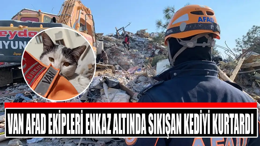 Van AFAD ekipleri enkaz altında sıkışan kediyi kurtardı