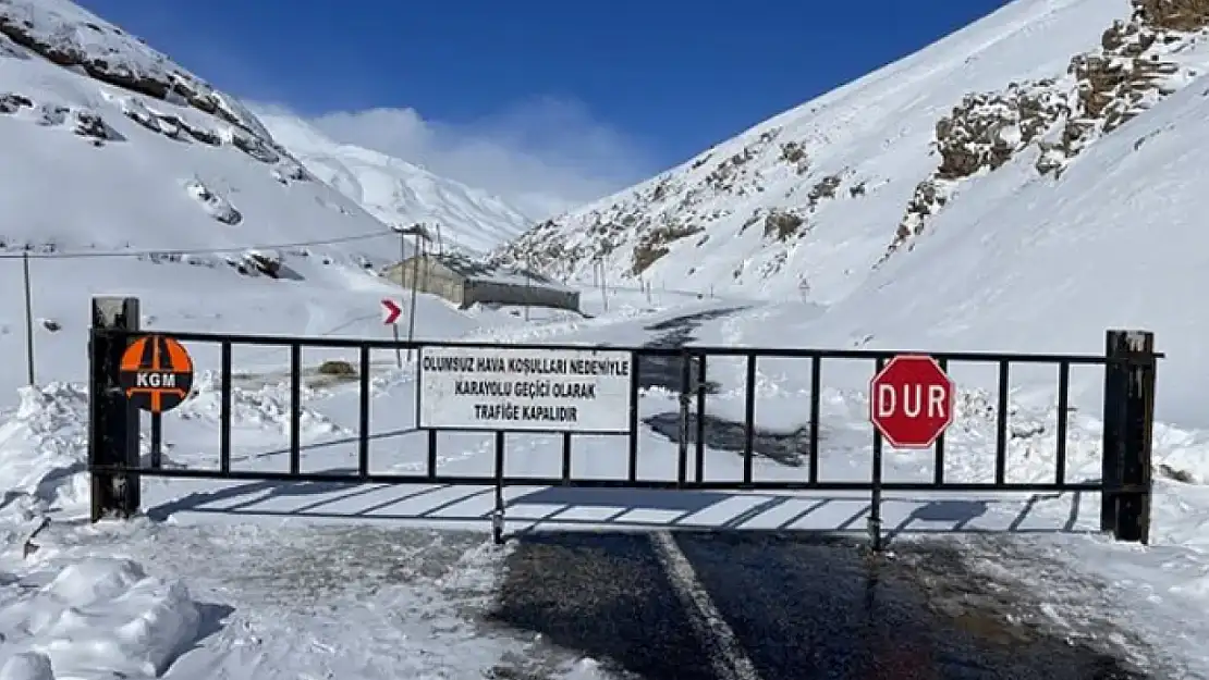 Van-Bahçesaray yolu trafiğe kapatıldı