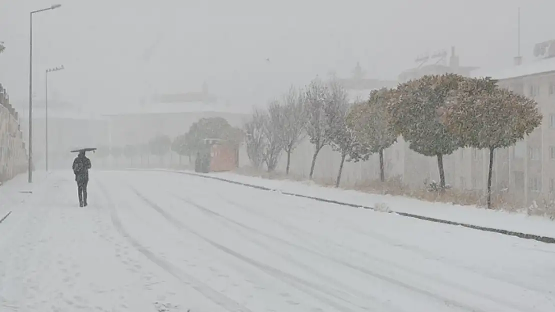 Van Bahçesaray yolu ulaşıma kapandı