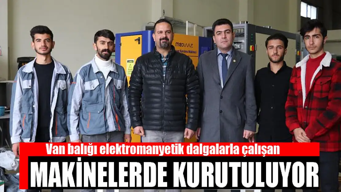 Van balığı elektromanyetik dalgalarla çalışan makinelerde kurutuluyor