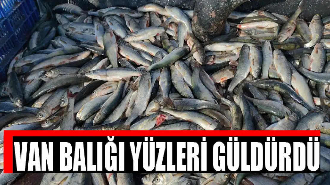 VAN BALIĞI YÜZLERİ GÜLDÜRDÜ