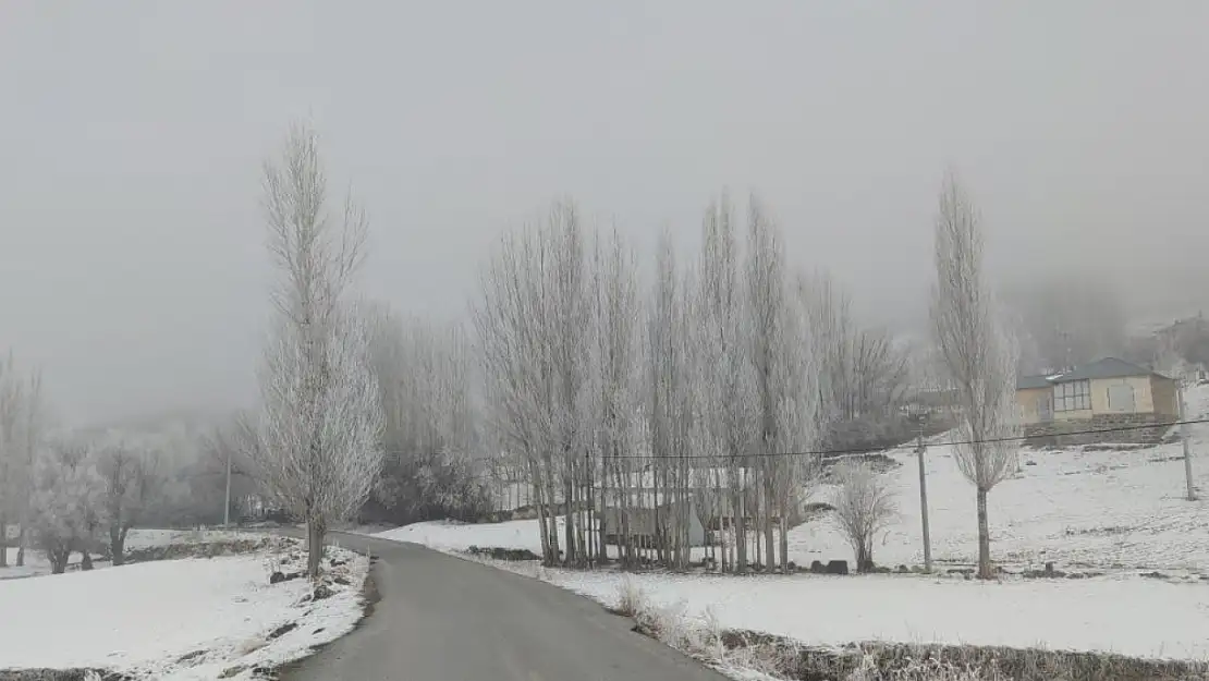 Van buz kesti ağaçlar ve bitkiler kırağı tuttu