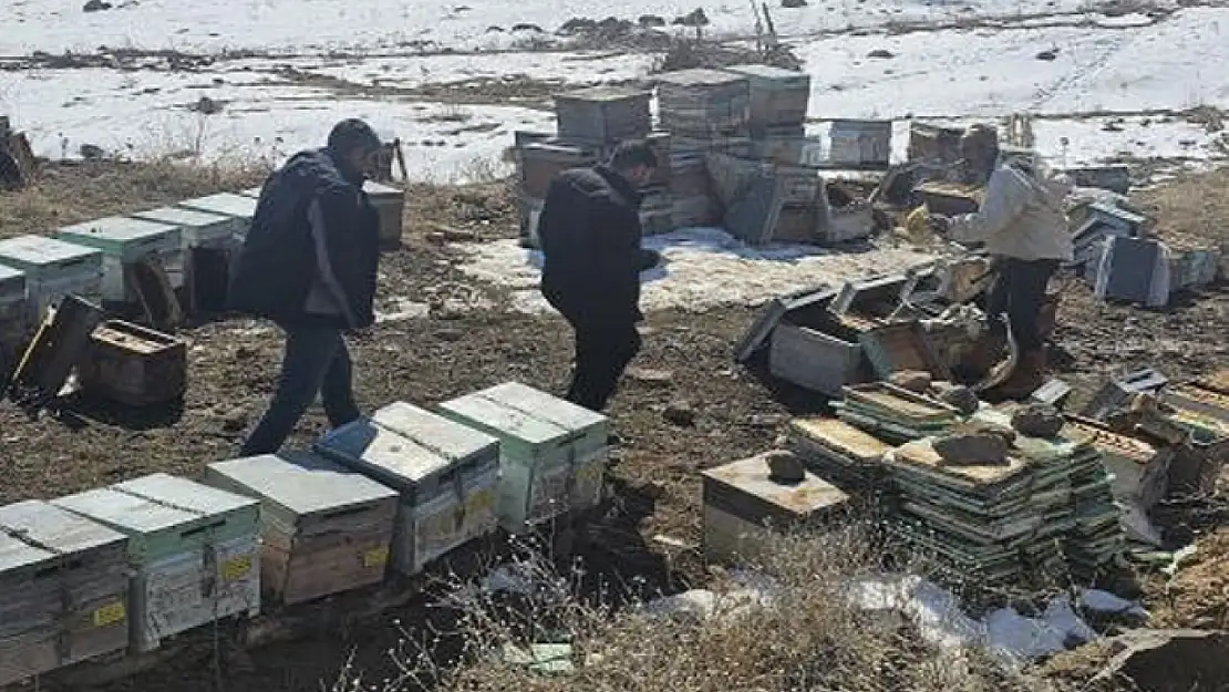 Van'da 100 kovan arı telef oldu