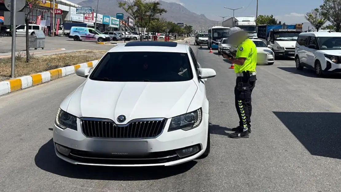 Van'da 24 araç trafikten men edildi