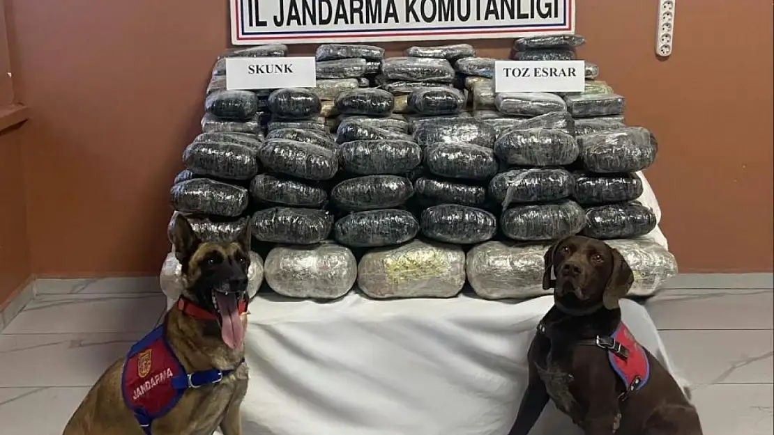Van'da 90 kilo uyuşturucu ele geçirildi