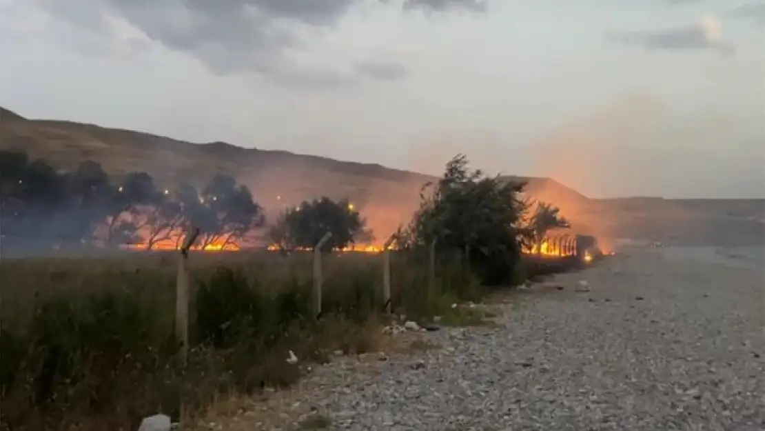 Van'da ağaçlık alanda yangın