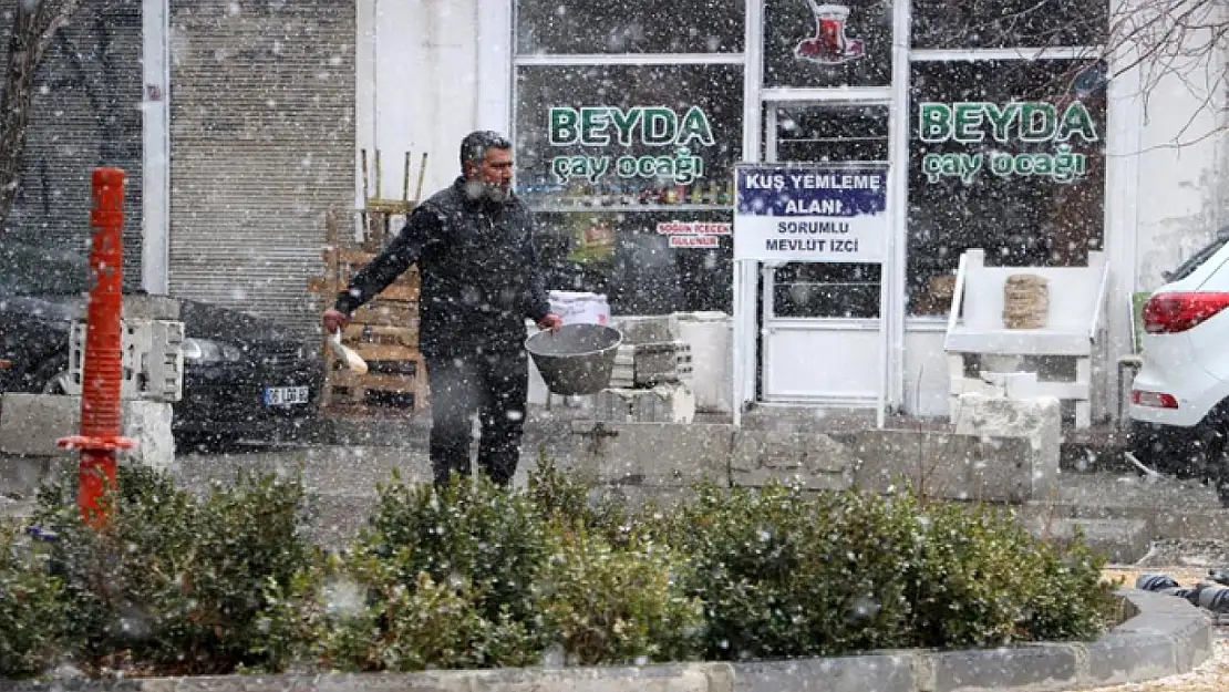 Van'da binlerce güvercini besleyen esnaf, kuşlara çocukları gibi bakıyor