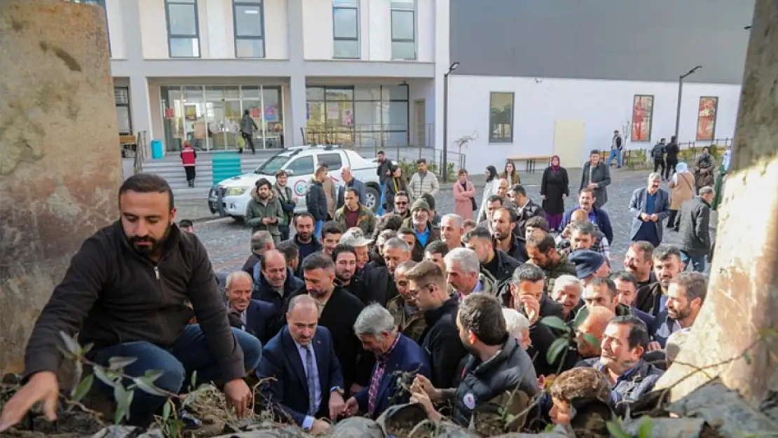 Van'da çiftçilere ceviz ve badem fidesi dağıtıldı