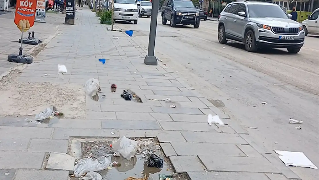 Van'da çöpler havada uçuştu