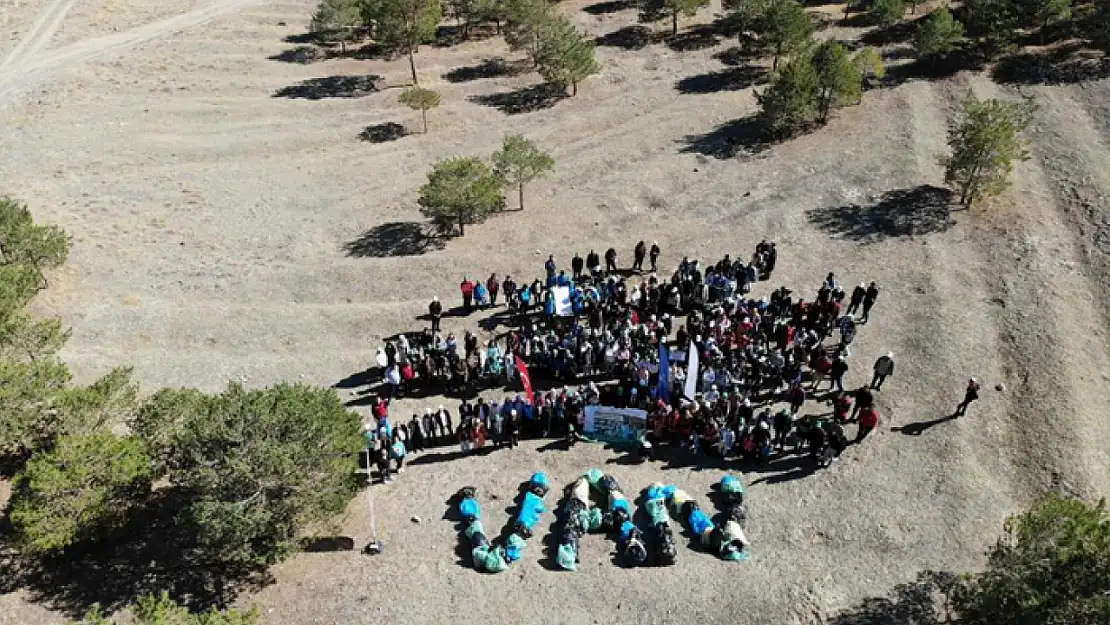 Van'da gençler ormanlık alanda temizlik yaptı