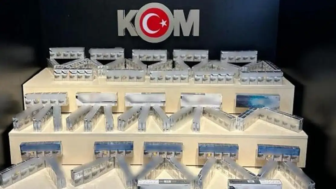 Van'da gümrük kaçakçılığı operasyonu