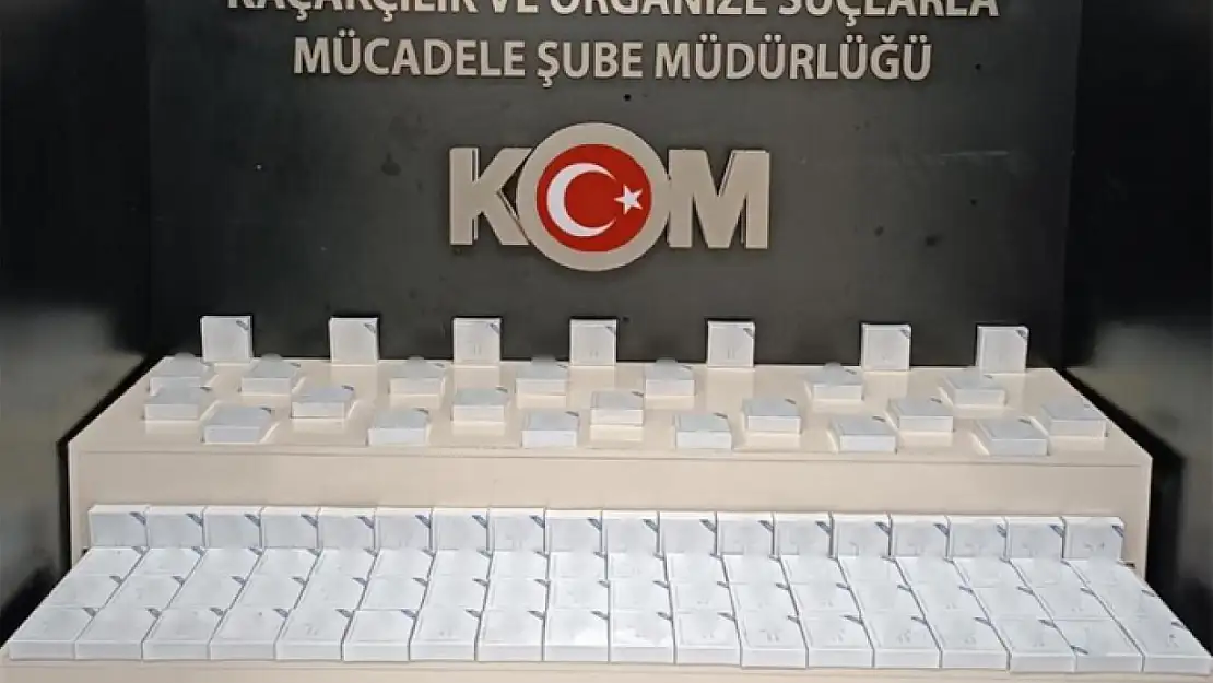 Van'da gümrük kaçakçılığı operasyonu