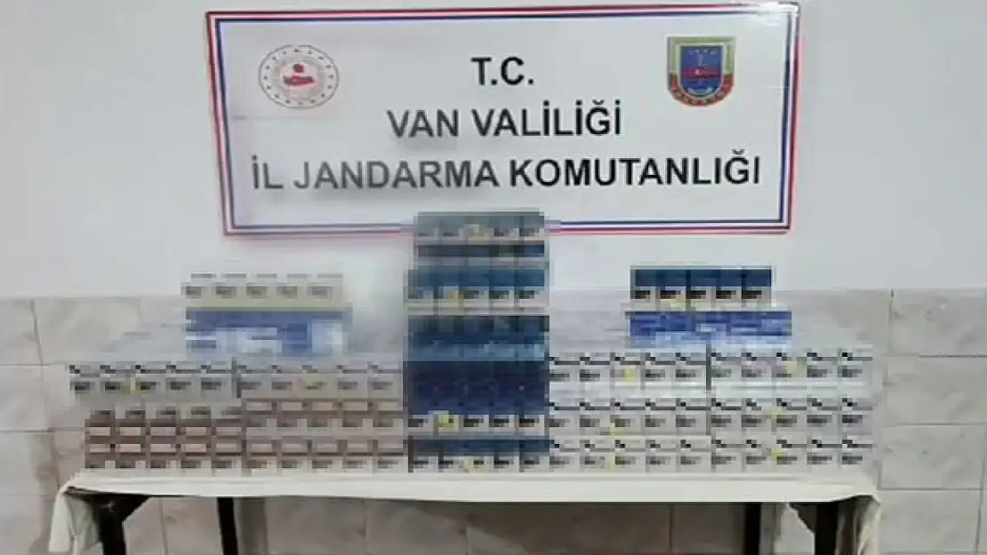 Van'da gümrük kaçakçılığı operasyonu