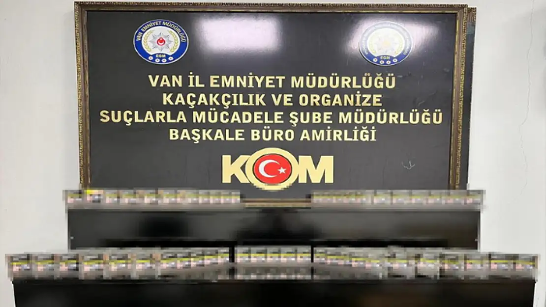 Van'da gümrük kaçakçılığı operasyonu