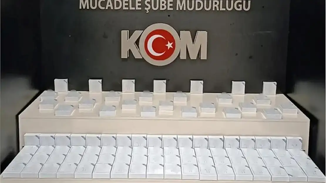 Van'da gümrük kaçakçılığı operasyonları