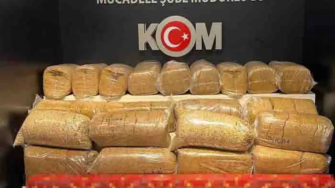 Van'da gümrük kaçakçılığı operasyonu