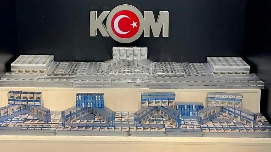 Van'da gümrük kaçakçılığı operasyonu