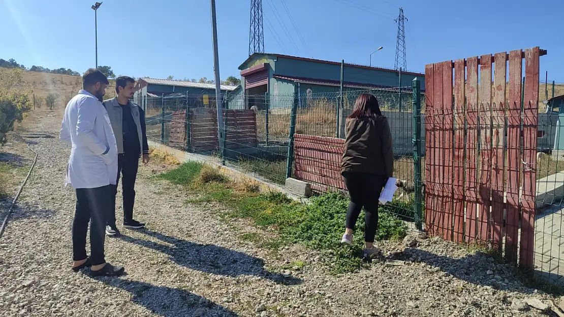 Van'da hayvan bakım evi denetimleri sürüyor