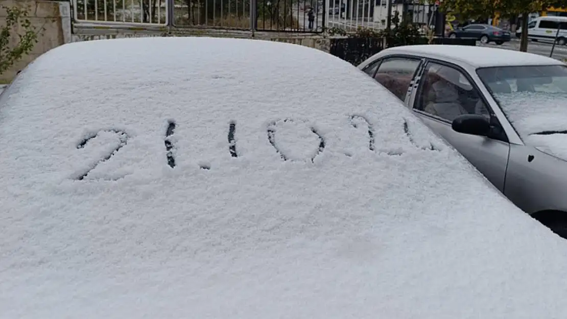 Van'da her yer beyaza büründü