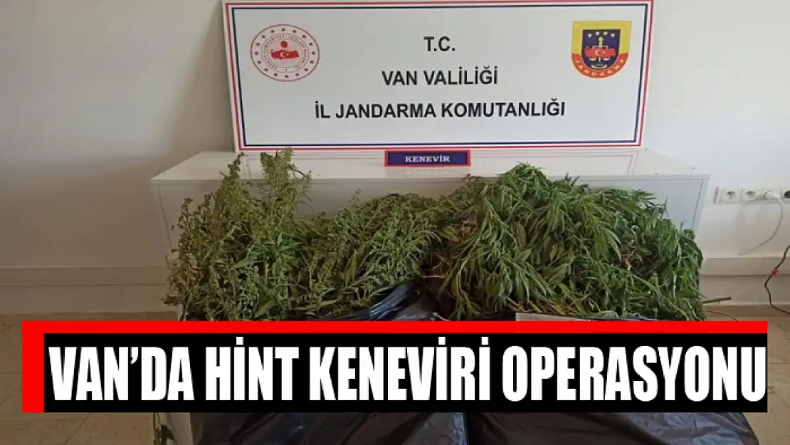 Van'da Hint keneviri operasyonu