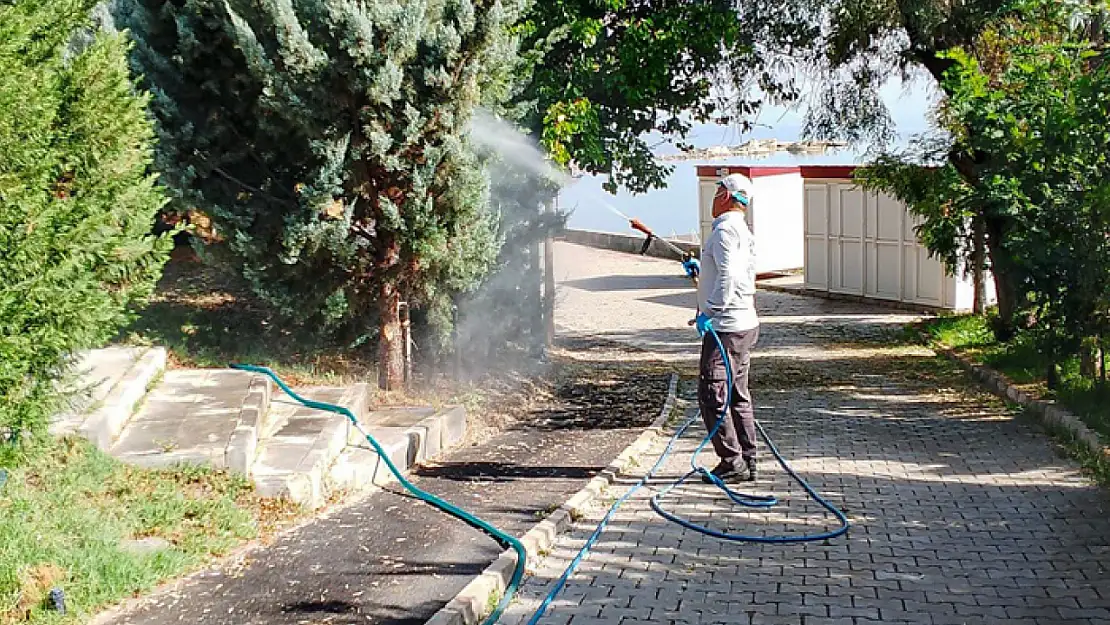 Van'da ilaçlama çalışmaları aralıksız sürüyor
