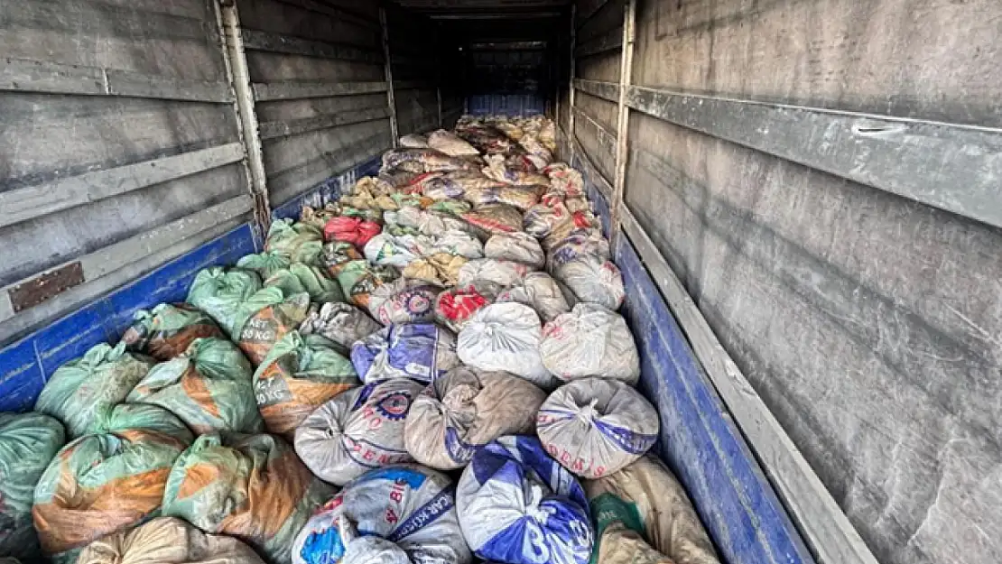 Van'da kaçak avlanmış balık ele geçirildi