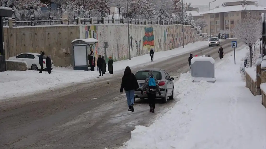 Van'da kar yağışı hayatı olumsuz etkiledi