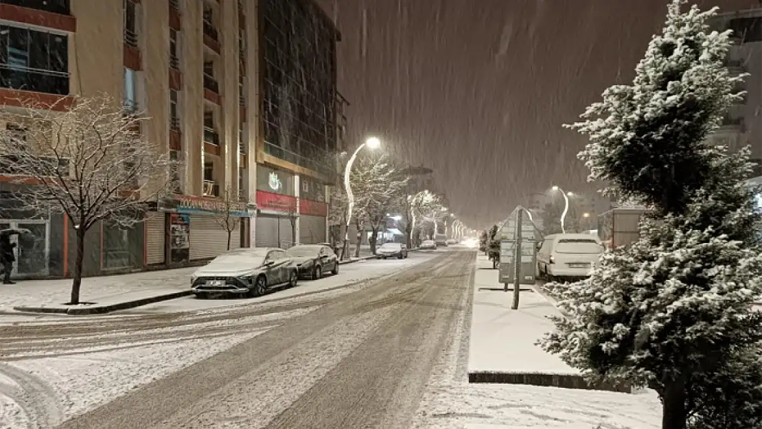 Van'da kar yağışı