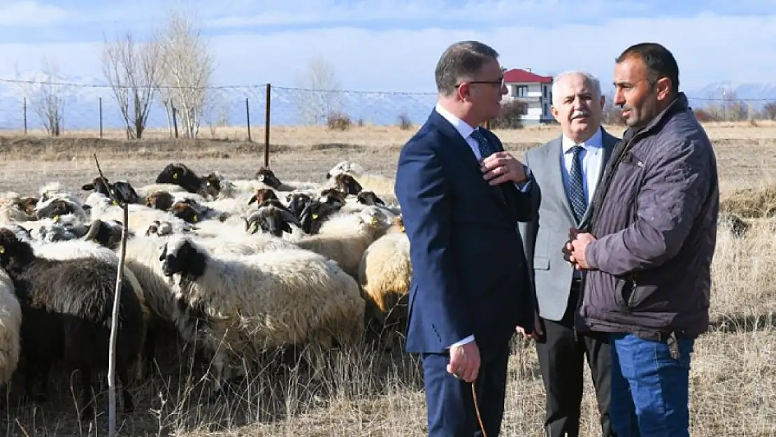 Van'da koyunculuk projesi başarıyla devam ediyor