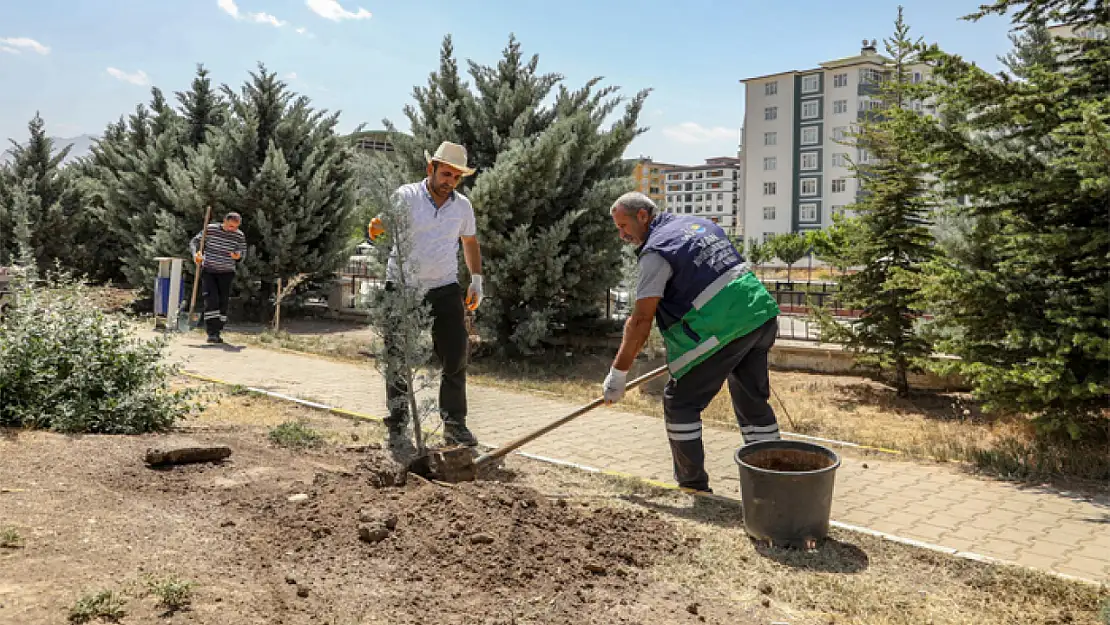 Van'da mezarlıklar ağaçlandırılıyor