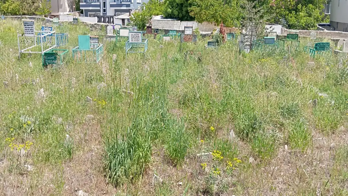 Van'da mezarlıklar bakım onarım bekliyor