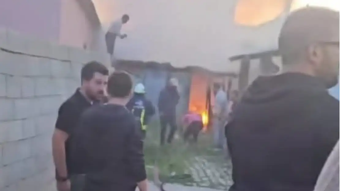 Van'da odunluk yangını
