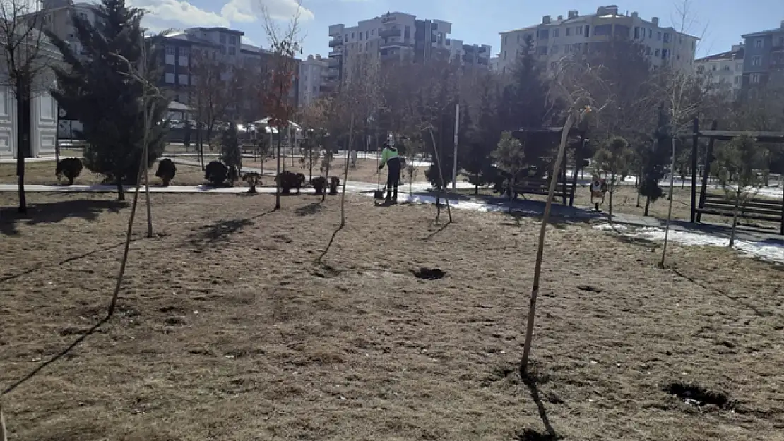 Van'da parklarda bahar temizliği