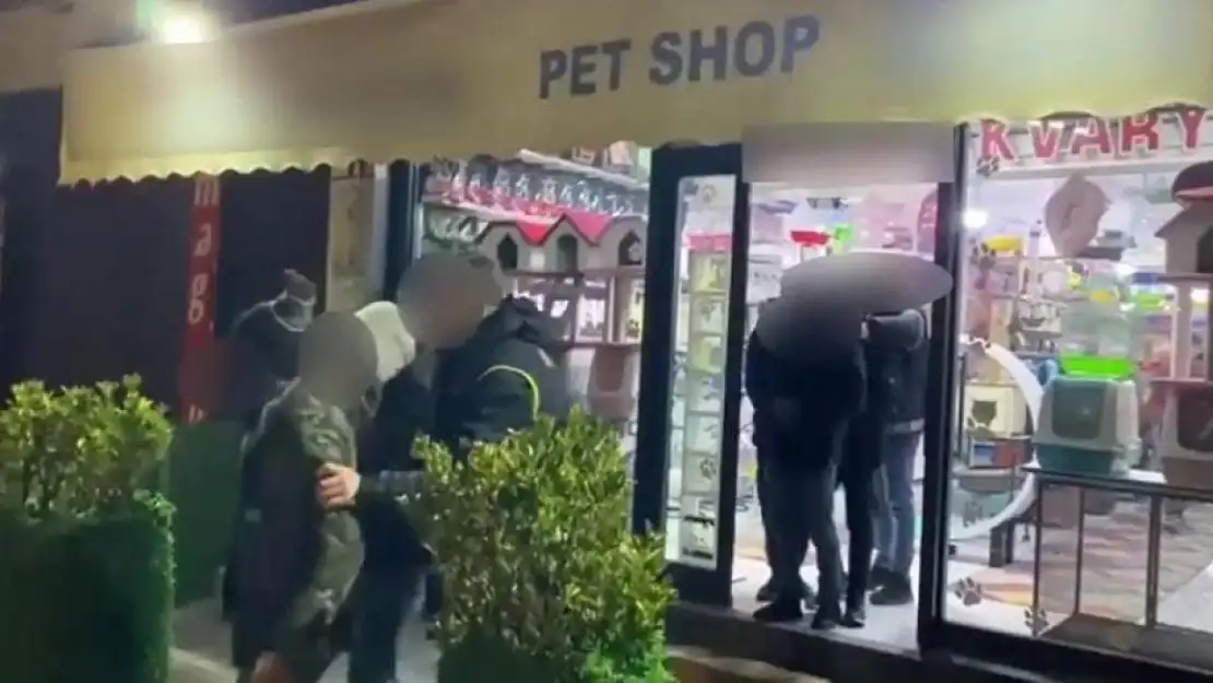 Van'da Pet shop mağazasında göçmen yakalandı