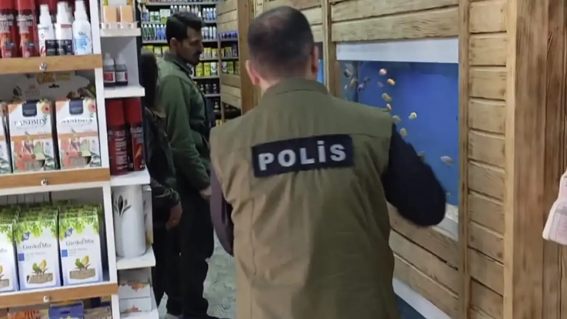Van'da Petshop denetimlerinde kaçak hayvanlara el konuldu